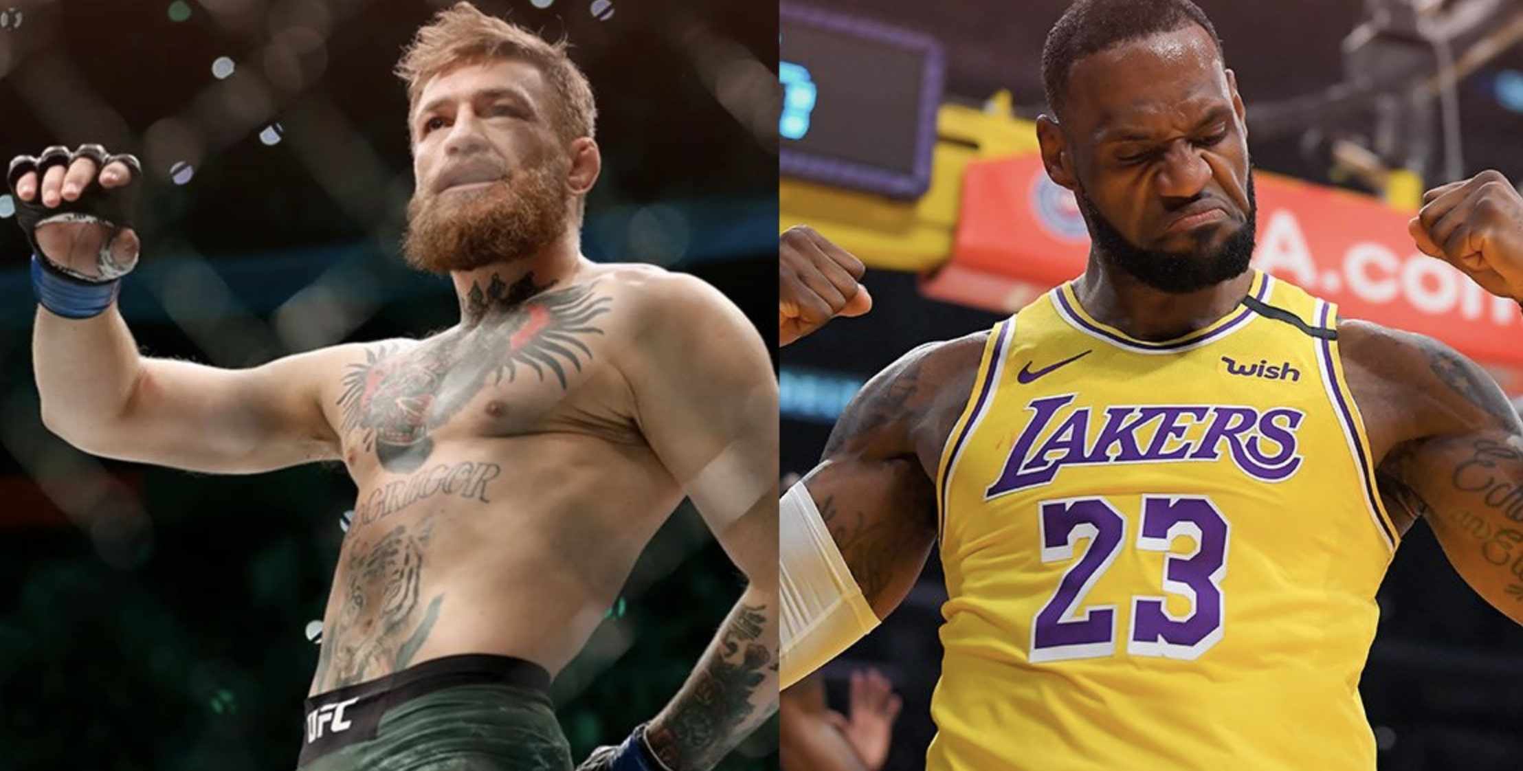 Conor McGregor and LeBron James