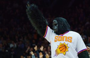 Phoenix Suns mascot