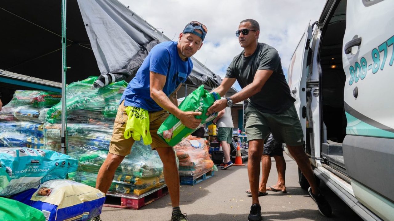 12 Los Angeles Sports Teams Band Together For Maui Relief – Deadline